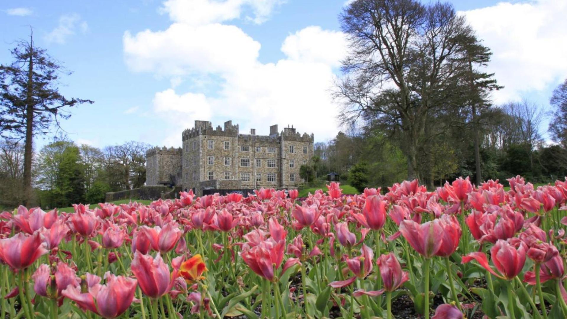 Waterford Castle Hotel Lodges Екстериор снимка